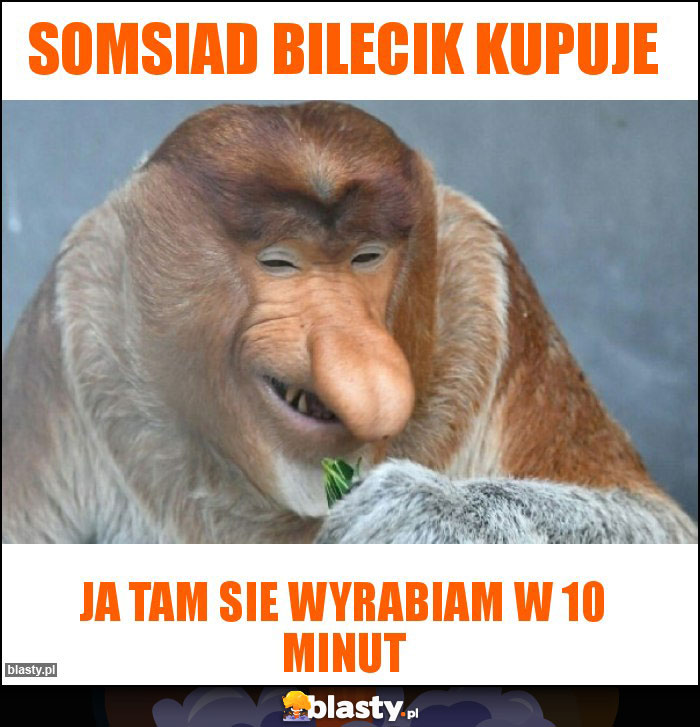 Somsiad bilecik kupuje