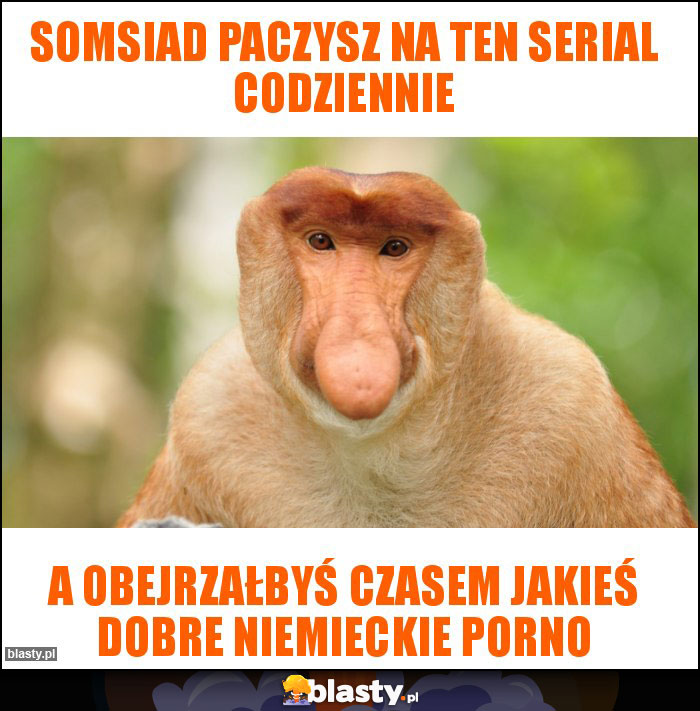 Somsiad paczysz na ten serial codziennie