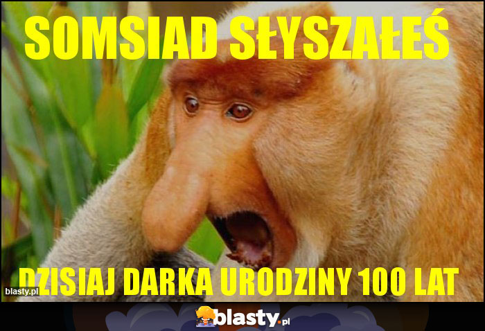 somsiad słyszałeś