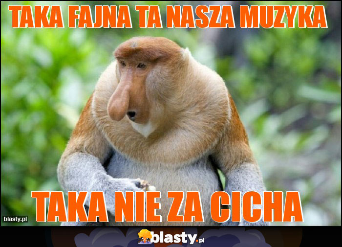 Taka fajna ta nasza muzyka