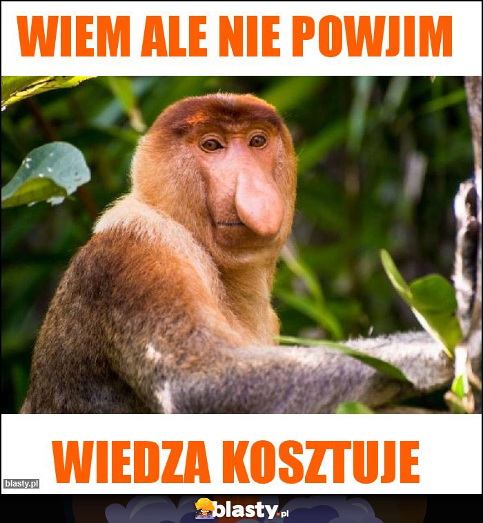 Wiem ale nie powjim