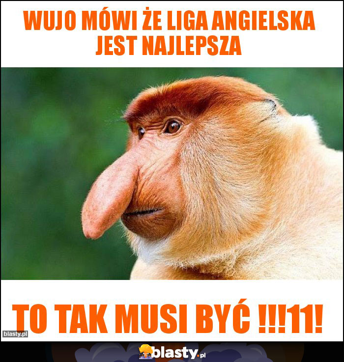 Wujo mówi że liga angielska jest najlepsza