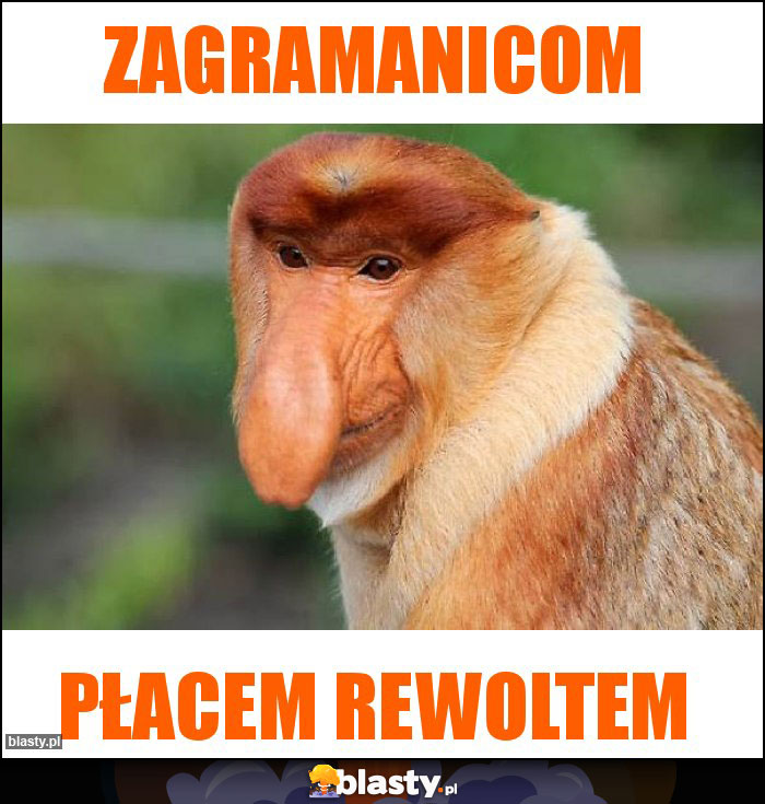 Zagramanicom