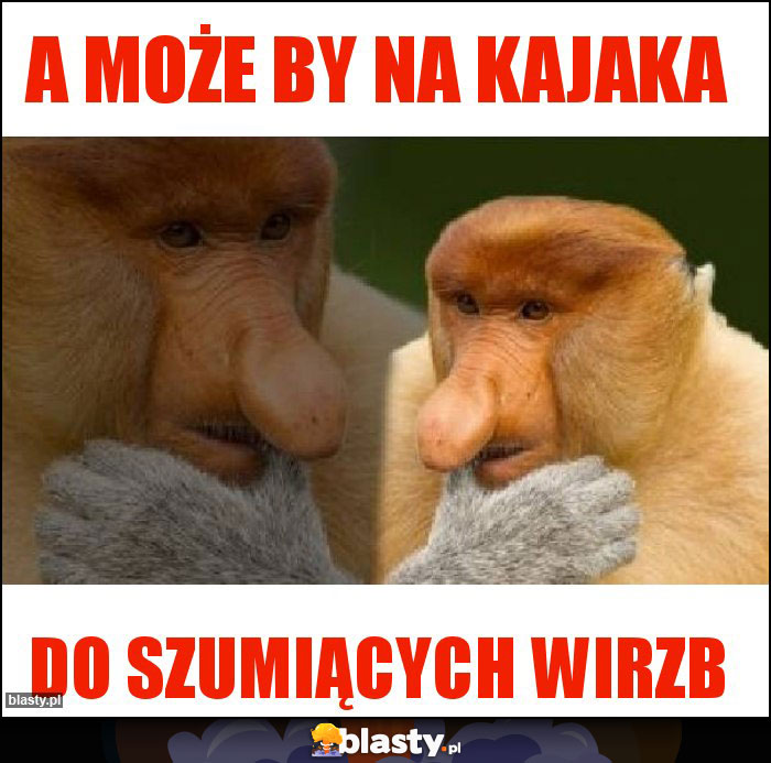 A może by na kajaka