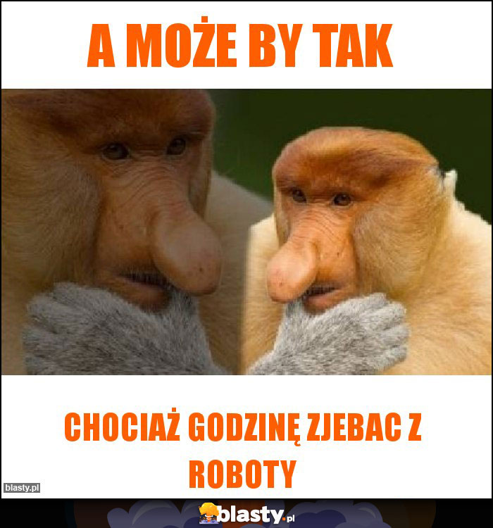 A może by tak