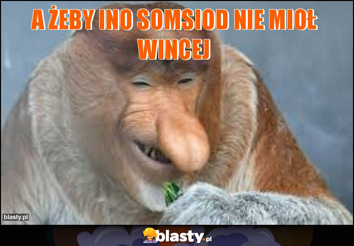 A ŻEBY INO SOMSIOD NIE MIOŁ WINCEJ