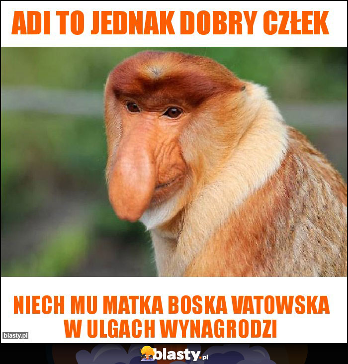 Adi to jednak dobry człek