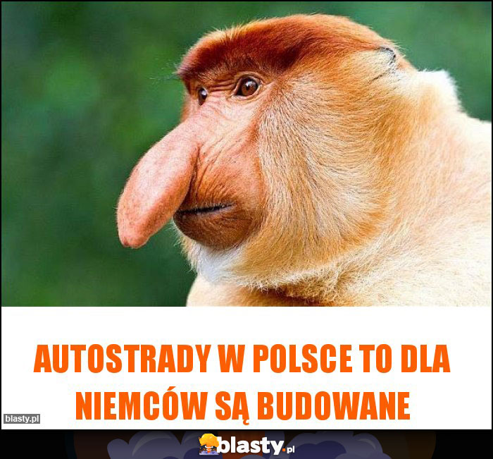 autostrady w Polsce to dla Niemców są budowane