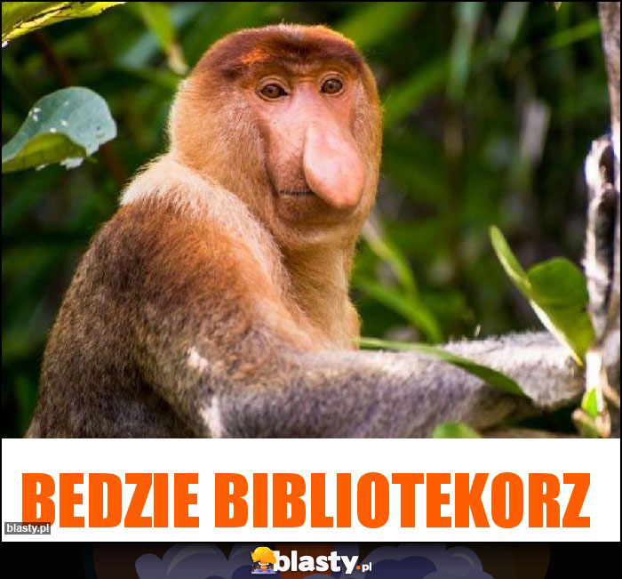 Bedzie bibliotekorz