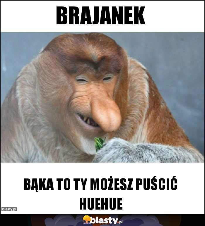 Brajanek