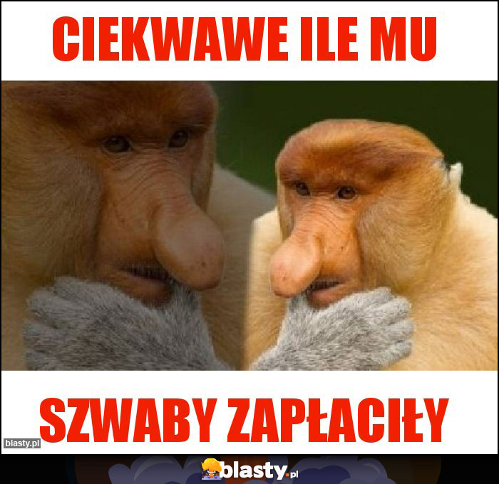 CIEKWAWE ILE mu