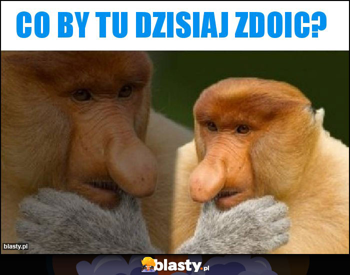 Co by tu dzisiaj zdoic?