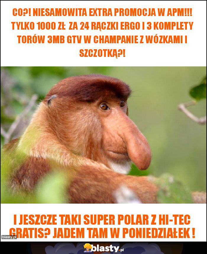 co?! niesamowita extra promocja w apm!!! tylko 1000 ZŁ  za 24 rączki ergo i 3 komplety torów 3mb gtv w champanie z wózkami i szczotką?!