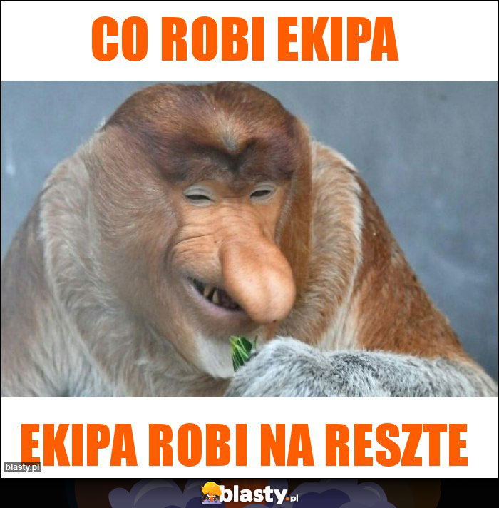 co robi ekipa