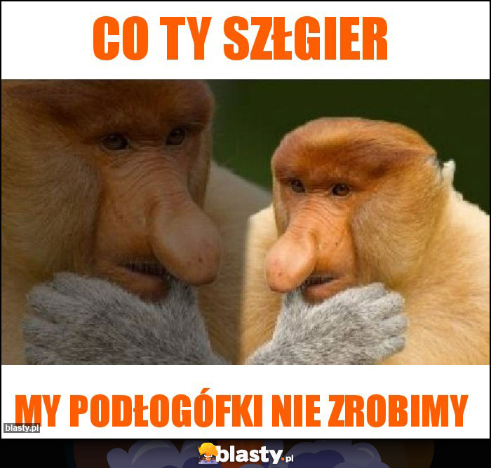 Co Ty szłgier