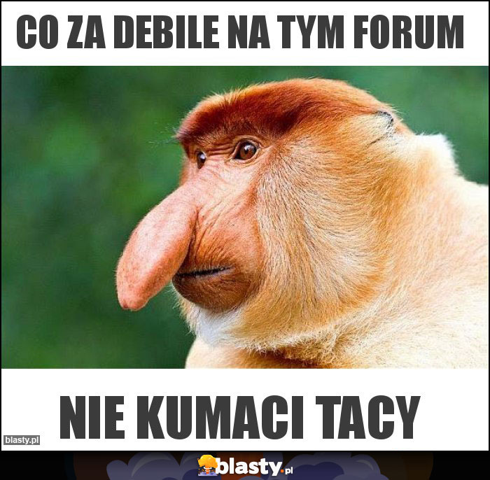 Co za debile na tym forum