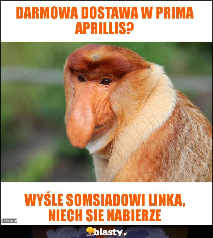 darmowa dostawa w prima aprillis?