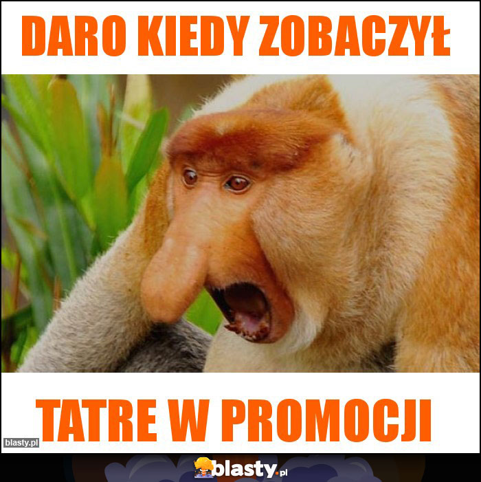 Daro kiedy zobaczył