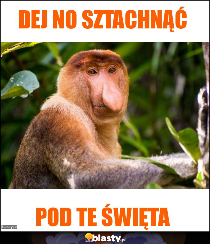 Dej no sztachnąć