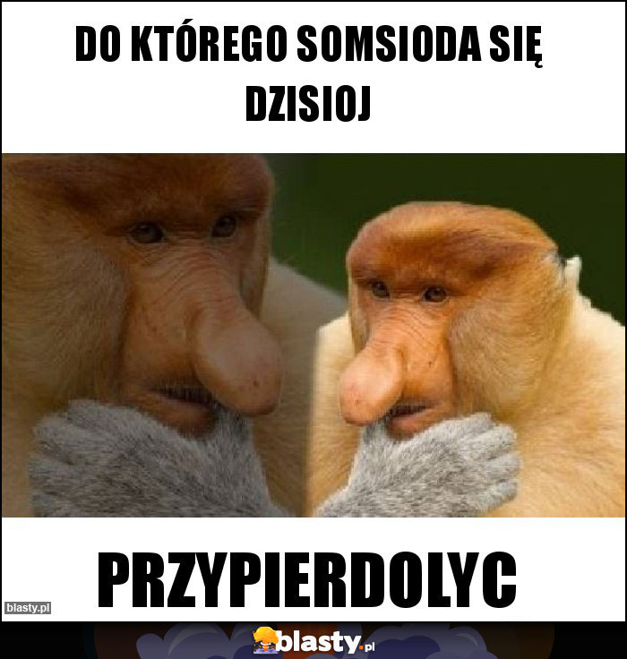 Do którego somsioda się dzisioj