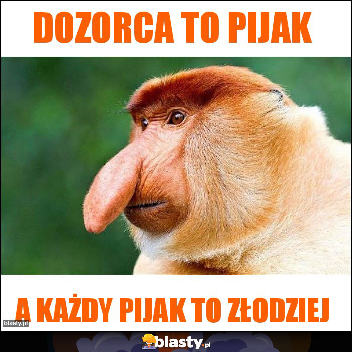 DOZORCA TO PIJAK