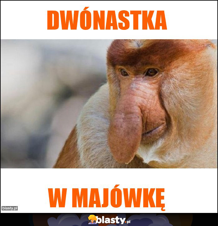 dwónastka