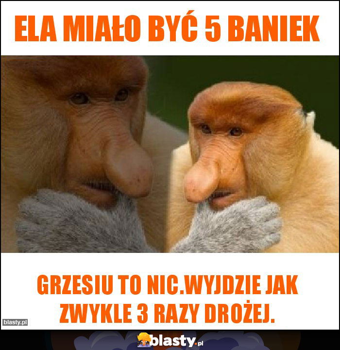 ELA MIAŁO BYĆ 5 BANIEK