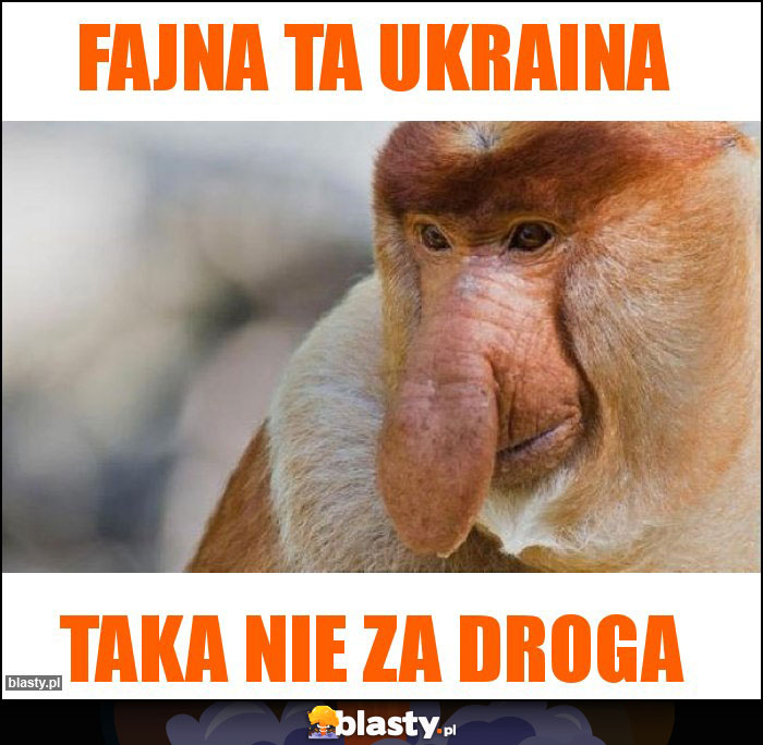 Fajna ta Ukraina