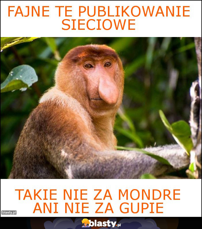 Fajne te publikowanie sieciowe