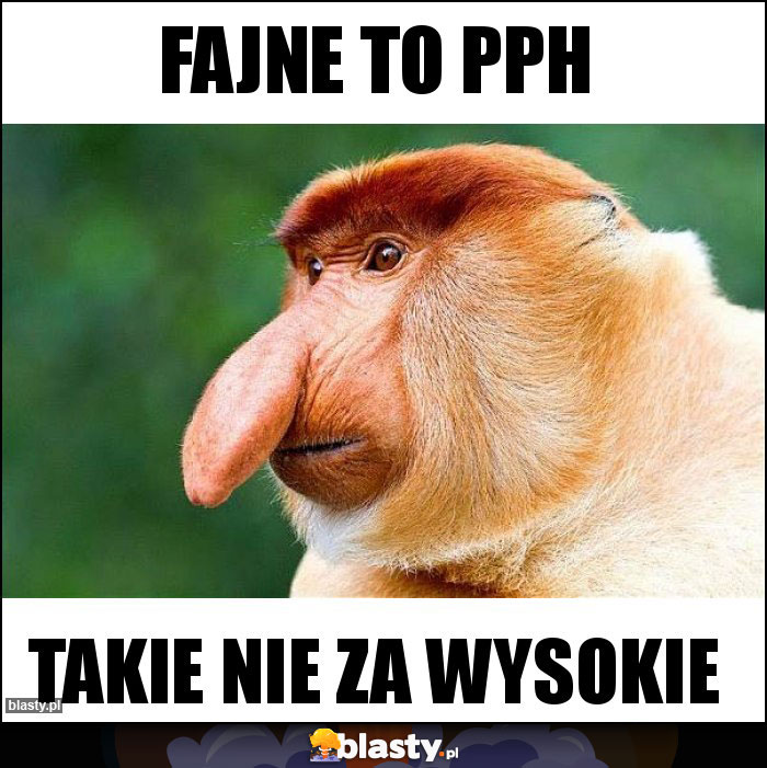 Fajne to PPH