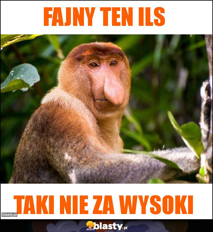 Fajny ten ILS