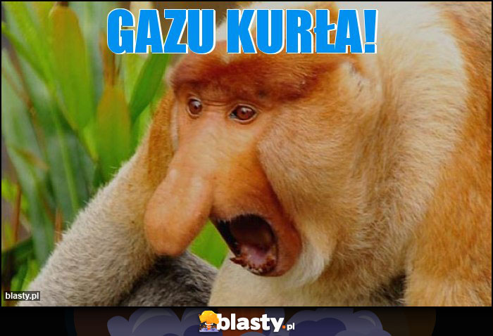 GAZU KURŁA!