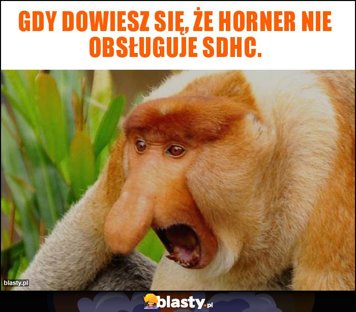 Gdy dowiesz się, że Horner nie obsługuje SDHC.