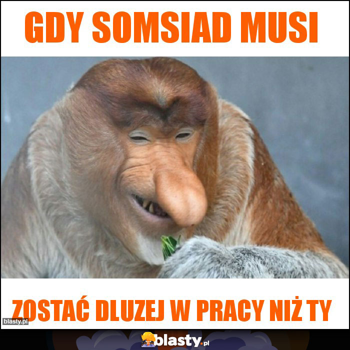 Gdy somsiad musi