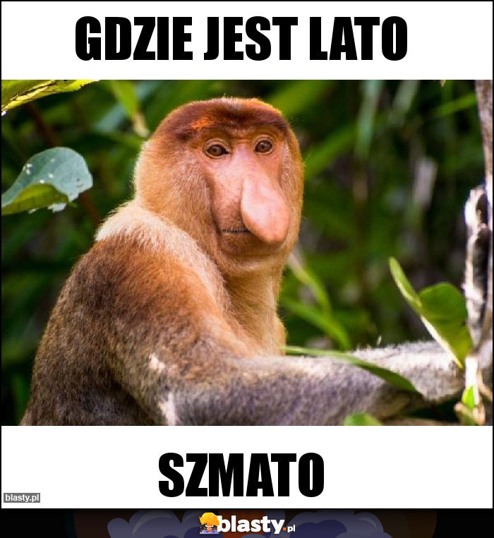 Gdzie jest lato