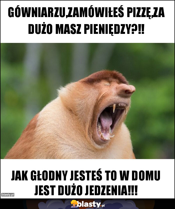 Gówniarzu,zamówiłeś pizzę,za dużo masz pieniędzy?!!