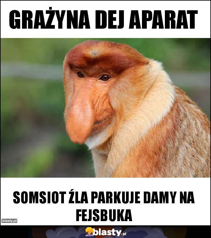 Grażyna dej aparat