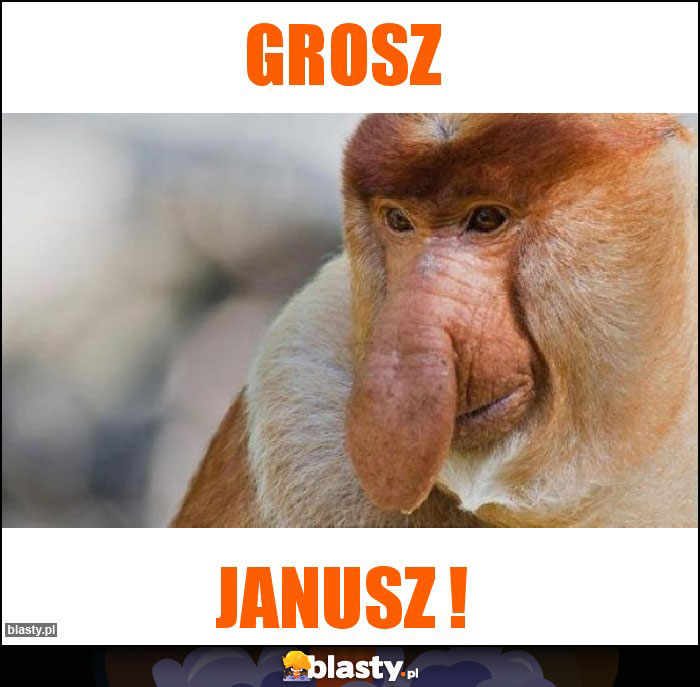 Grosz