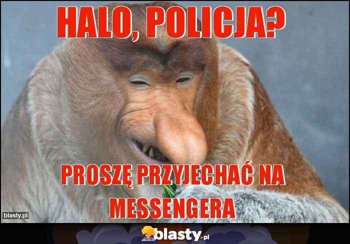 Halo, policja?