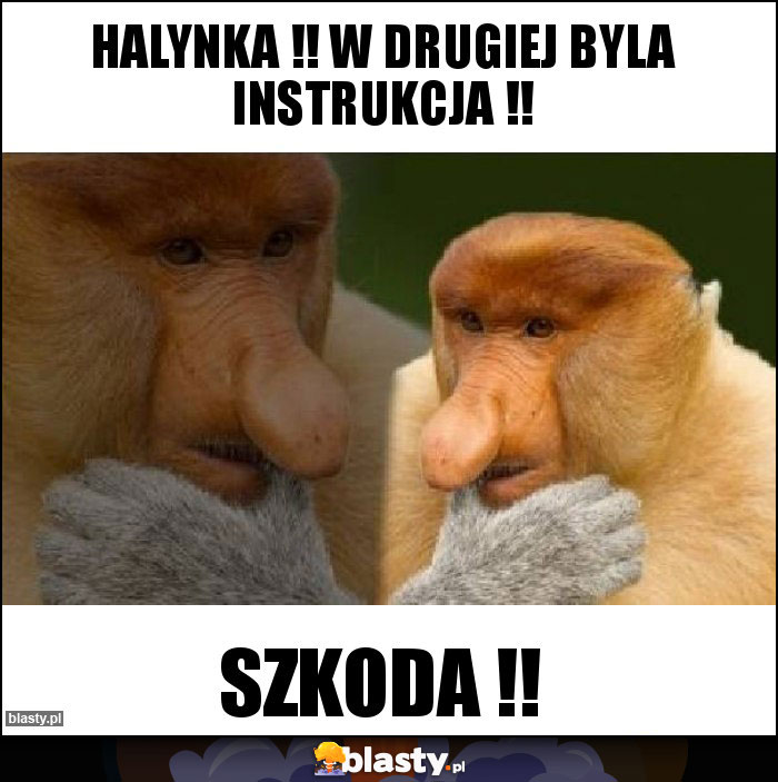 halynka !! w drugiej byla instrukcja !!