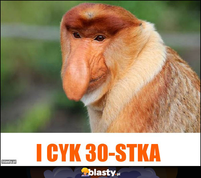 I cyk 30-stka