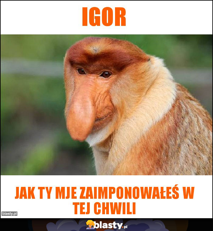 Igor