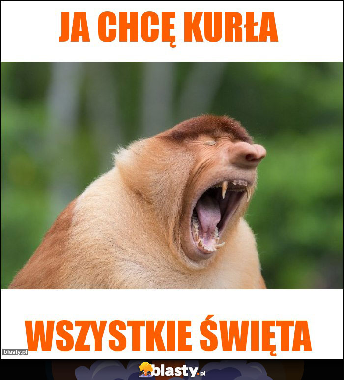 Ja chcę kurła