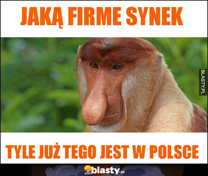 Jaką firme synek