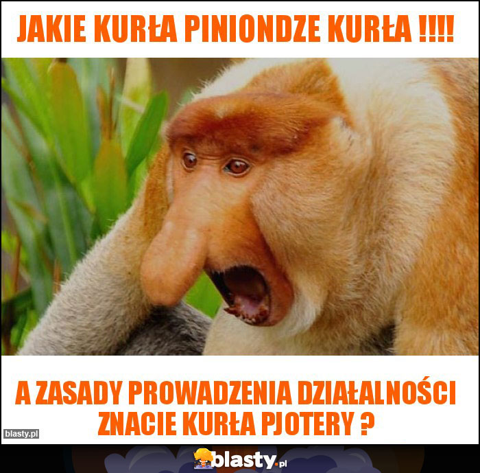 Jakie Kurła piniondze Kurła !!!!