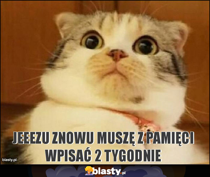 Jeeezu znowu muszę z pamięci wpisać 2 tygodnie