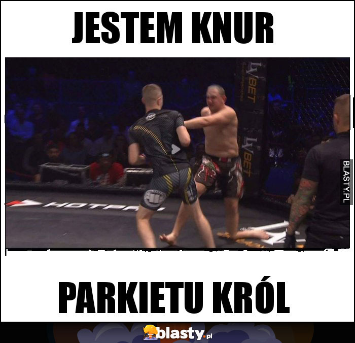 Jestem knur