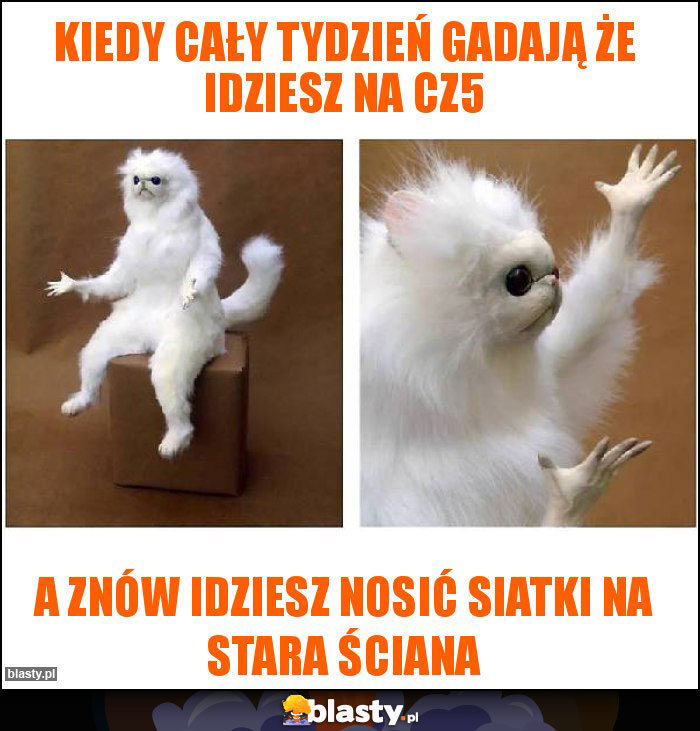 KIEDY CAŁY TYDZIEŃ GADAJĄ ŻE IDZIESZ NA CZ5