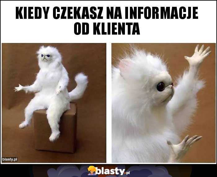 kiedy czekasz na informacje od klienta