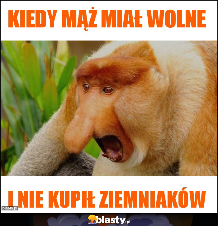 KIEDY MĄŻ MIAŁ WOLNE